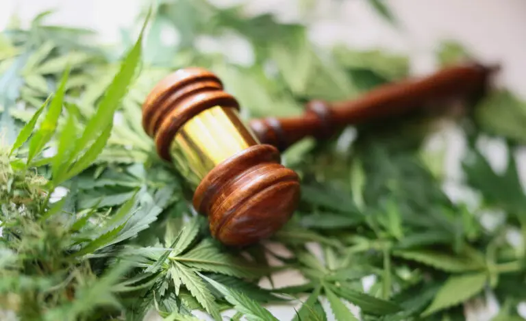 Replace_Drug_Possession-scaled-e1752772809920-768x469